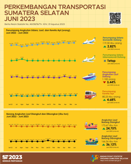 The Number Of Passenger Arrivals By Air Transportation Mode Was 119,295 People.