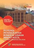 Analysis of Results of Advanced Economic Survey 2016 Potencial to Improve Performance of Small and Micro Enterprise Sumatera Selatan Province