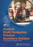 Analisis Profil Penduduk Provinsi Sumatera Selatan