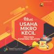 Potensi Usaha Mikro Kecil Sensus Ekonomi 2016 Provinsi Sumatera Selatan